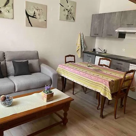 Meuble/clim Cent Hist Perpig+ Park Gratuit Apartamento *