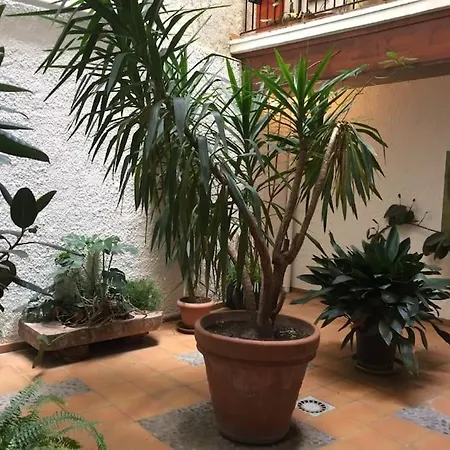 Appartement Meuble/clim Cent Hist Perpig+ Park Gratuit